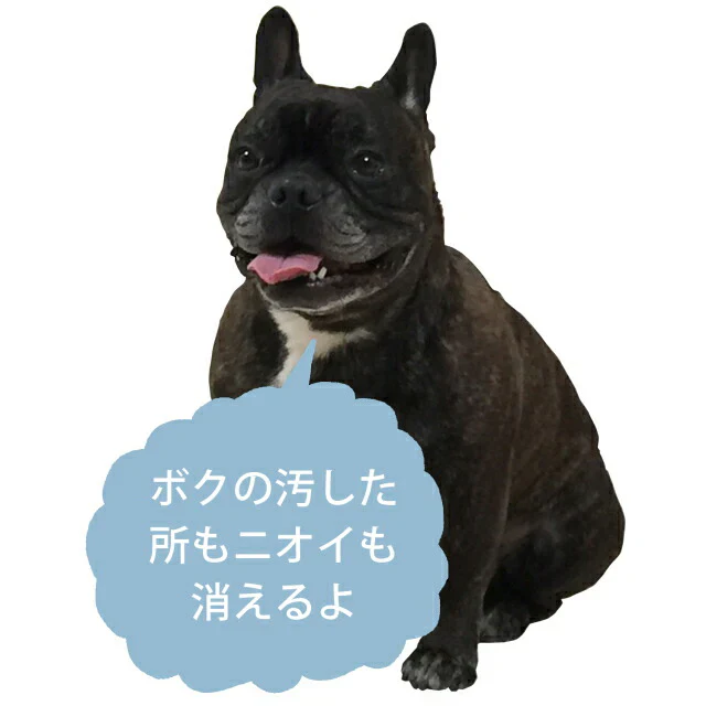 ドクターベックマン カーペットステインリムーバー 650ml Dr. Beckmann