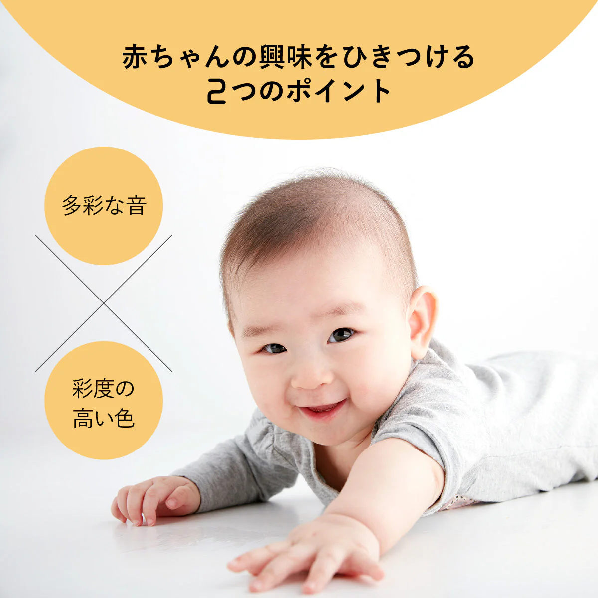 きつねのアコーディオン