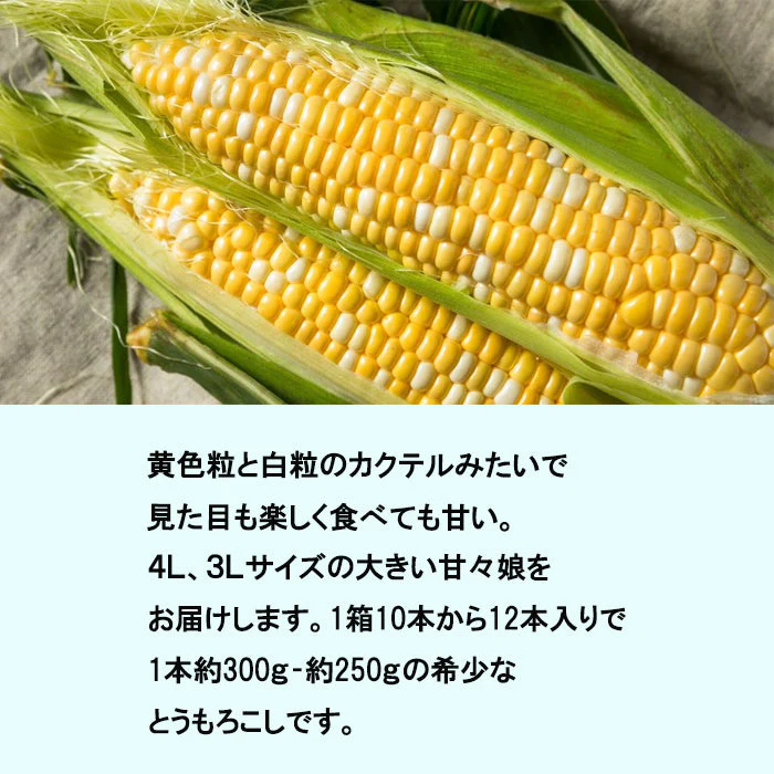 【6月上旬発送】とうもろこし 甘々娘 3キロ