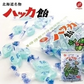【北海道限定】永田製飴 ハッカ飴【100g×1袋】新千歳空港 お土産 個別包装