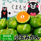 【大容量】熊本県産 訳あり 小玉 みかん 9kg 熊本 送料無料 小玉みかん ミカン フルーツ お取り寄せ 柑橘 フルーツ 果物   《9月中旬-10月中旬頃より発送予定》