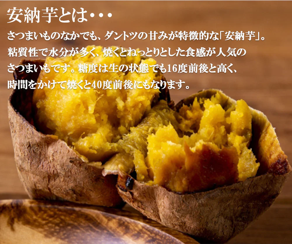 安納芋 さつまいも 5kg 送料無料 産地直送 産直 土付き さつま芋 薩摩芋 焼きいも 焼き芋 石焼き芋 芋 いも イモ 鹿児島県産 ngs-006