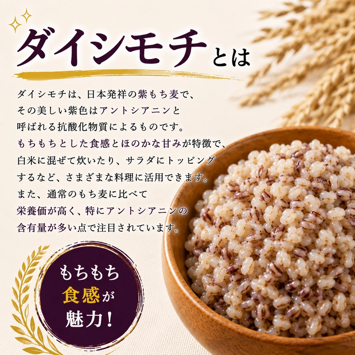 ★ダイシモチ / もち麦　10kg　令和8年岡山県産