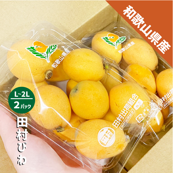 和歌山県産 びわ約500g（約250g×２パック）和歌山 田村 ビワ 送料無料 枇杷