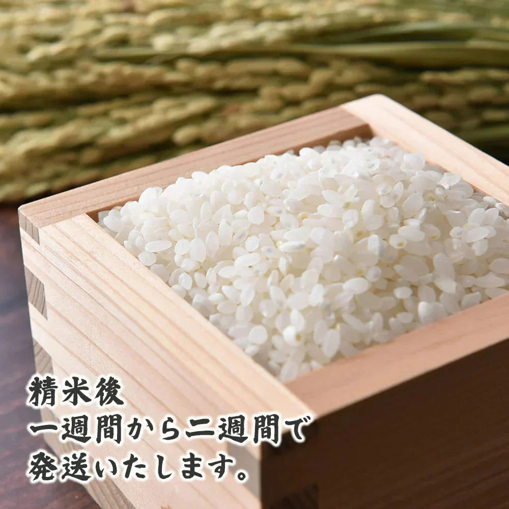 【白米】令和7年産 魚沼産 コシヒカリ 10kg(5kg×2袋) 精白米 国産 国産コシヒカリ100％ 送料無料 精米工場からの直送品