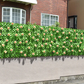【花有タイプ】グリーンフェンス 1m×3m 目隠し 日除け おしゃれ 花付き 花無し 葉っぱ ベランダ 庭 防犯 侵入防止 / 目隠しグリーンフェンス