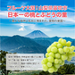 シャインマスカット 【山梨 笛吹市産】約1.2kg （2房） 1房 約500-700g 産地直送 高糖度 大粒 皮ごと ステビア農法 ぶどう マスカット 果物 フルーツ 冷蔵 ギフト 産直 敬老の日 お中元