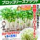 種 野菜たね ブロッコリー ブロッコリースプラウト 1袋（40ml）[発送は翌年1月～となります。]