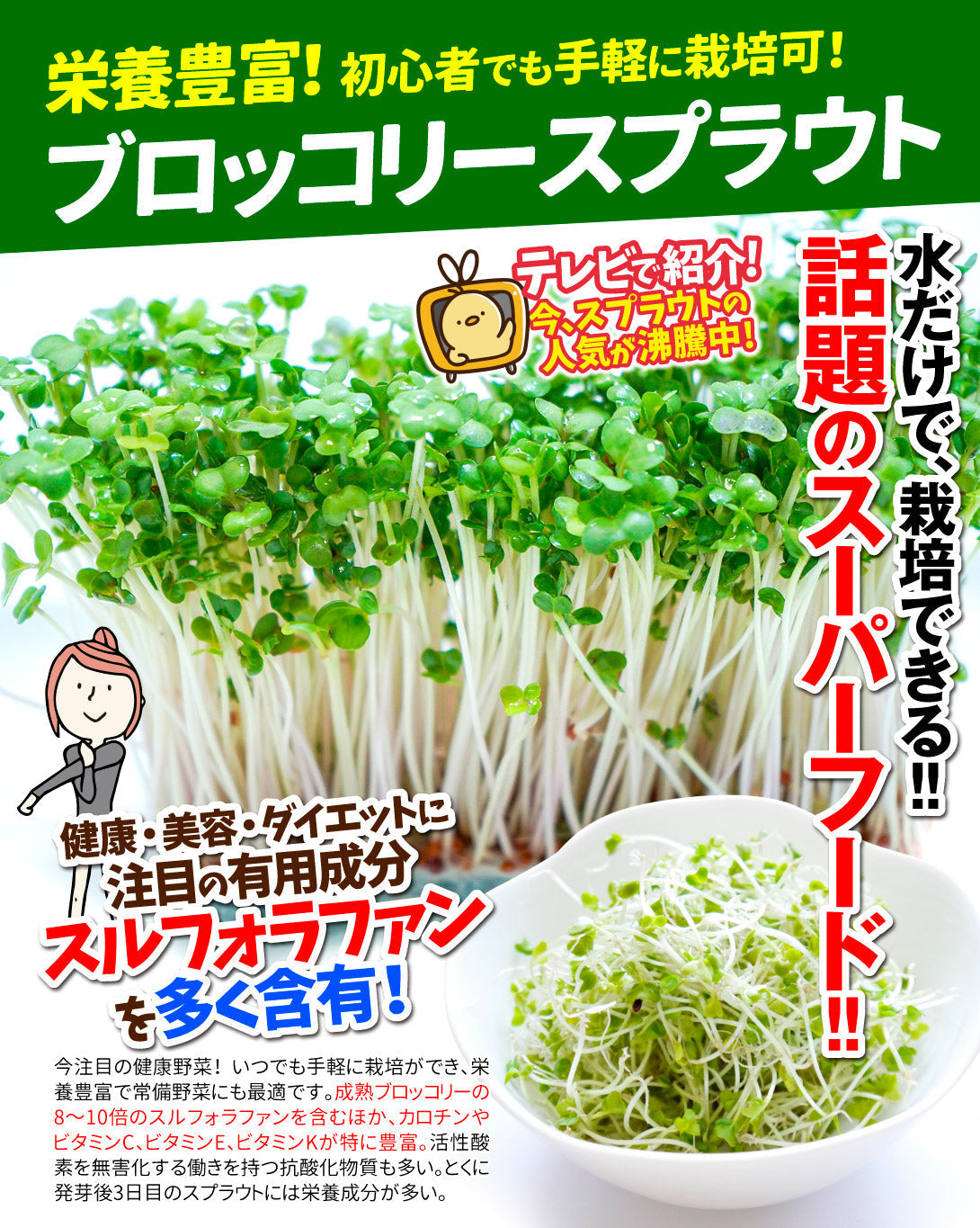 種 野菜たね ブロッコリー ブロッコリースプラウト 1袋（40ml）[発送は翌年1月～となります。]