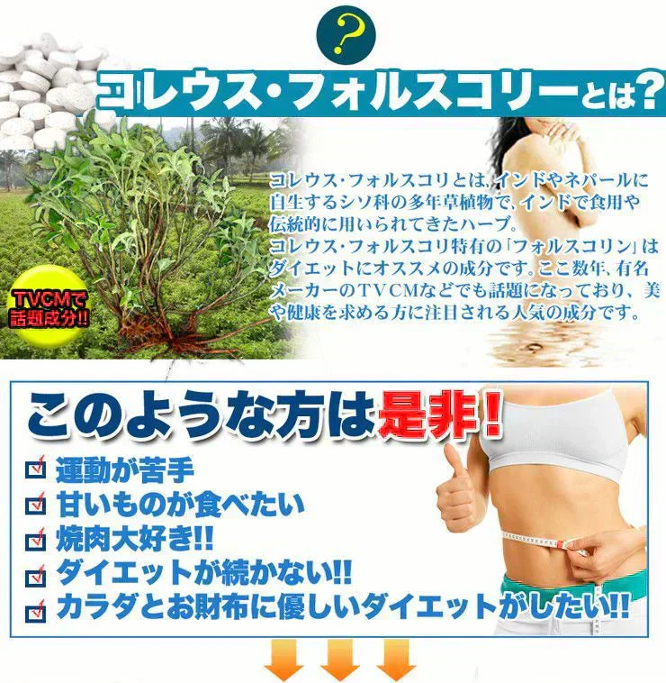 【メガ盛り 大容量お得４ヵ月分・ダイエットフォルスコリ】TVCMでも話題のダイエット成分 コレウスフォルスコリ フォルスコリ 燃焼系 サプリメント 燃焼サプリ 燃焼ダイエット ダイエッター専用 ダイエットサプリメント フォルスコリー フォルスコリン 売れ筋 爆安 激やせ 痩せる 減量 スリム すっきり スッキリ キレイ 格安 お得 激安 コスパ最高 コスパ最強 お肌 健康食品 20代 30代 40代 50代 60代 健康サプリメント 日本製 国産