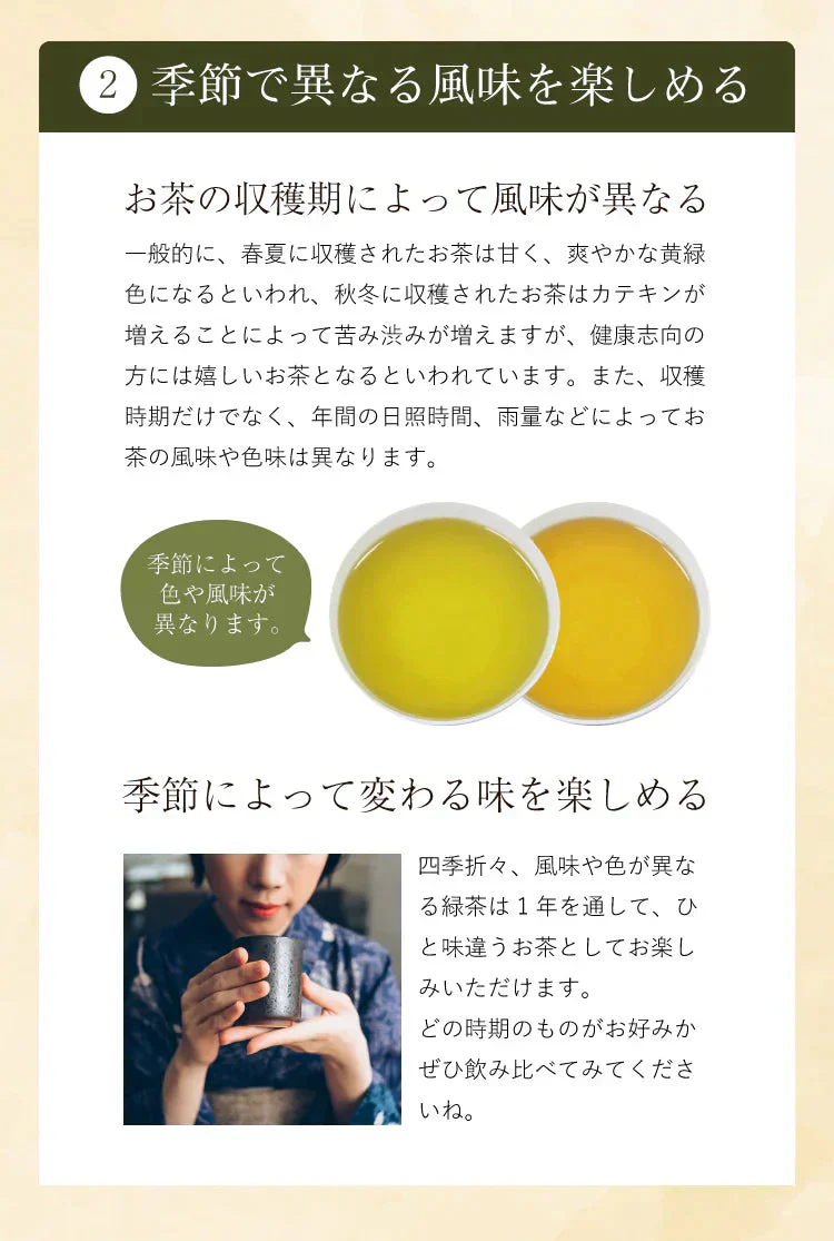 【2024年産】静岡県産緑茶 ティーライフのまかない新茶 100個入（ ティーバッグ 緑茶 新茶 ）
