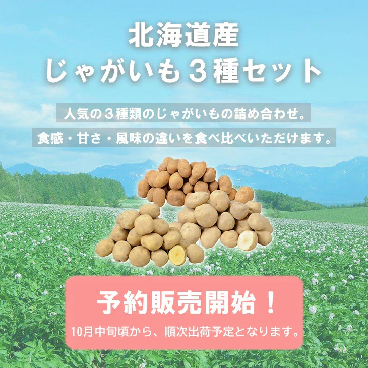 【終了】【10月中旬より順次出荷予定】北海道産 じゃがいも3種セット 9kg　男爵・キタアカリ(2Ｌ～Ｍ混)/各3kg、インカのめざめ(Ｌ～2Ｓ混)/3kg