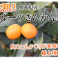 金柑 みかん 完熟フルーツきんかん 送料無料 1kg 熊本県産 ハウス栽培 柑橘