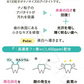 W & F 薬用ハミガキ CA-a [ホワイトニングペーストa] シトラスミント 単品 1本(50g) バイオアパタイト配合 歯磨き粉 ホワイトニング 日本製【メール便送料無料】