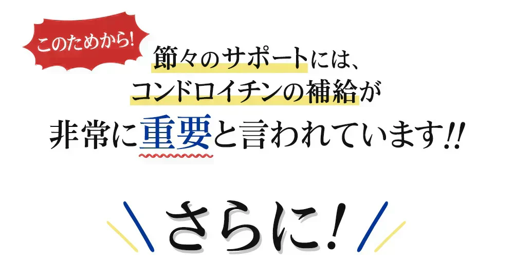 コンドロイチン《約3ヶ月分》サプリ サプリメント 健康  エクストラバージン オリーブオイル オレイン酸 散歩 旅行 スポーツ
