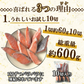 銀鮭 定塩 甘塩 切身 10切入り 約600g 送料無料 チリ産 骨付き 1切60-70g 訳あり 鮭 切り身 冷凍 しゃけ さけ 魚 惣菜 焼くだけ 調理 簡単 焼き魚 焼魚 おかず 酒の肴 つまみ お弁当 食品