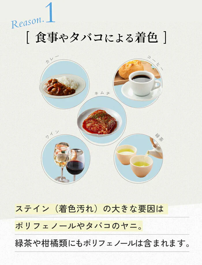 【SNSで大人気！自宅で時短ホワイトニング】薬用 パールホワイト プロシャイン 40g / 歯を白くする 歯磨き粉 ホワイトニング 市販 セルフホワイトニング 白く 着色汚れ 口臭ケア デンタルケア トラベル 旅行 持ち運び ミニサイズ