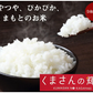 米 くまさんの輝き 【無洗米300g】 白米 送料無料  お試し 令和7年産 熊本県産 お米 白米 玄米 コシヒカリ ヒノヒカリ 森のくまさん