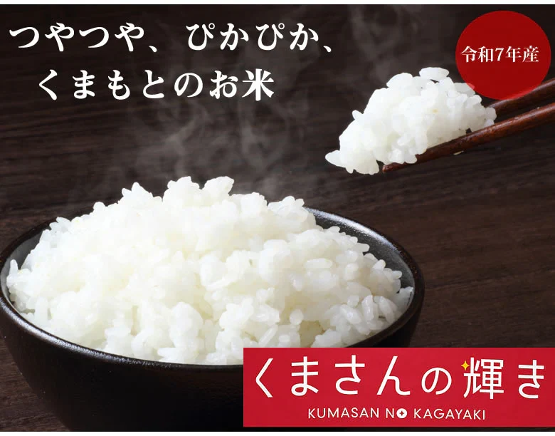 米 くまさんの輝き 【無洗米300g】 白米 送料無料  お試し 令和7年産 熊本県産 お米 白米 玄米 コシヒカリ ヒノヒカリ 森のくまさん