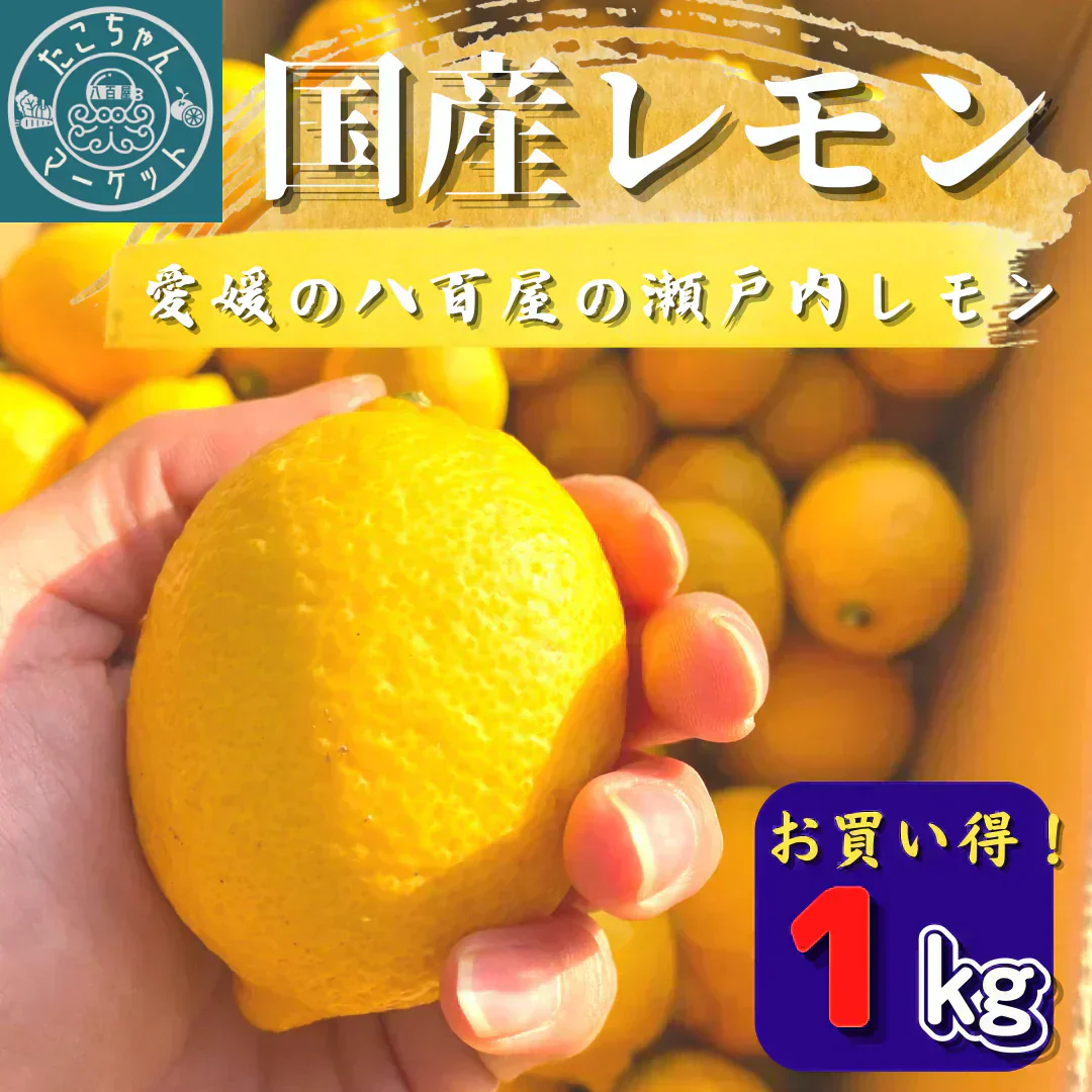 【国産レモン】愛媛県産　瀬戸内のイエローレモン　約1Kg