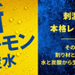 アサヒ ウィルキンソン タンサン レモン ラベルレス 500ml×2ケース／48本