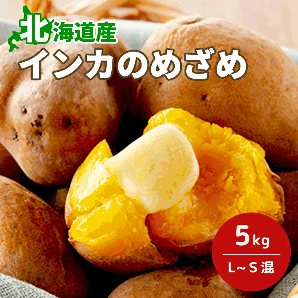 【終了】【11月上旬より順次出荷予定】北海道産 インカのめざめ ５ｋｇ