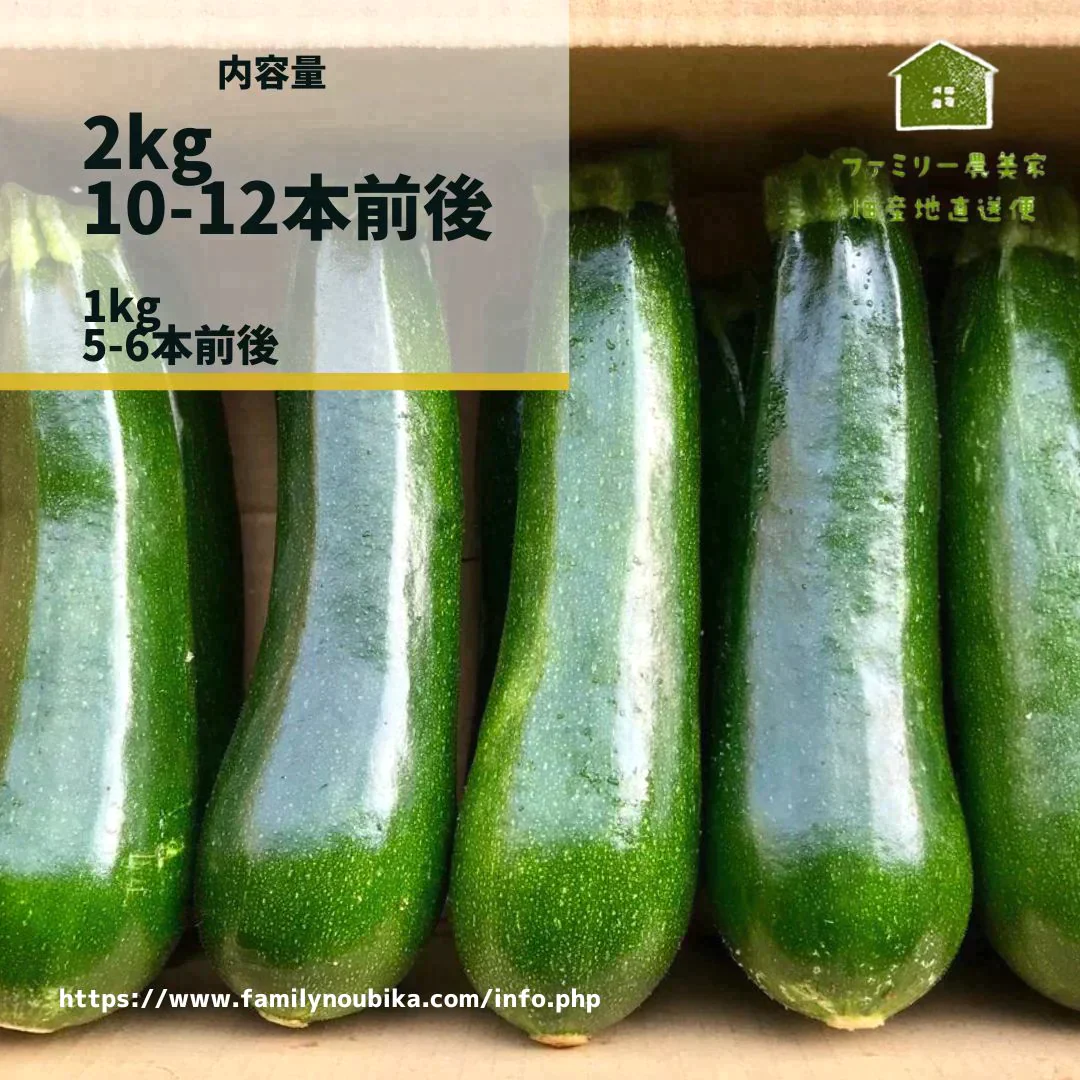【農家直送！】鹿児島産 -甘塩ズッキーニ-（2kg,10-12本前後）採れたて新鮮！ / 野菜 / ズッキーニ/ チーズ / グラタン / カレー / ツナマヨ / 炒め物 / 煮物 / サラダ / 新鮮 / 農産物 / 無農薬 / 送料無料【特産品・ご当地特集】