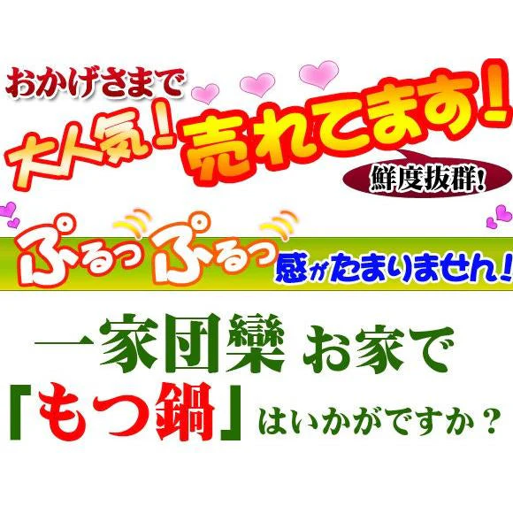 新鮮「もつ鍋セット」4～5人前