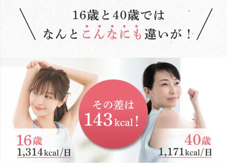 体脂肪が気になる方のプーアール茶　ヘルシーボ　30個入（ 4ｇティーバッグ ×30個入 約60～90杯分 機能性表示食品 健康茶 お茶 ローズヒップエキス ）