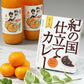 紀の国仕立て食べ比べセット ビーフカレー ポークカレー ハヤシ【お届け不可地域：北海道・沖縄・離島】【プレミア和歌山物産展】