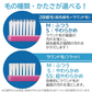 歯ブラシ Ciベーシック 超先細＋ラウンド毛 ／Mふつう 5本入り【メール便送料無料】
