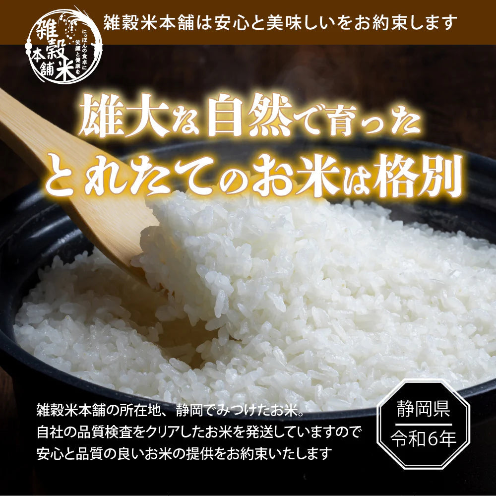 【白米】静岡県産 こしひかり 10kg(5kg×2袋)