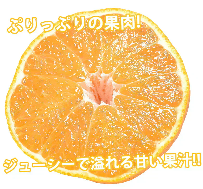 デコポン 同品種 訳ありデコみかん 5kg 箱込 (内容量4kg+補償分500g) 送料無料 熊本県産 フルーツ お取り寄せ みかん ミカン 蜜柑 不知火