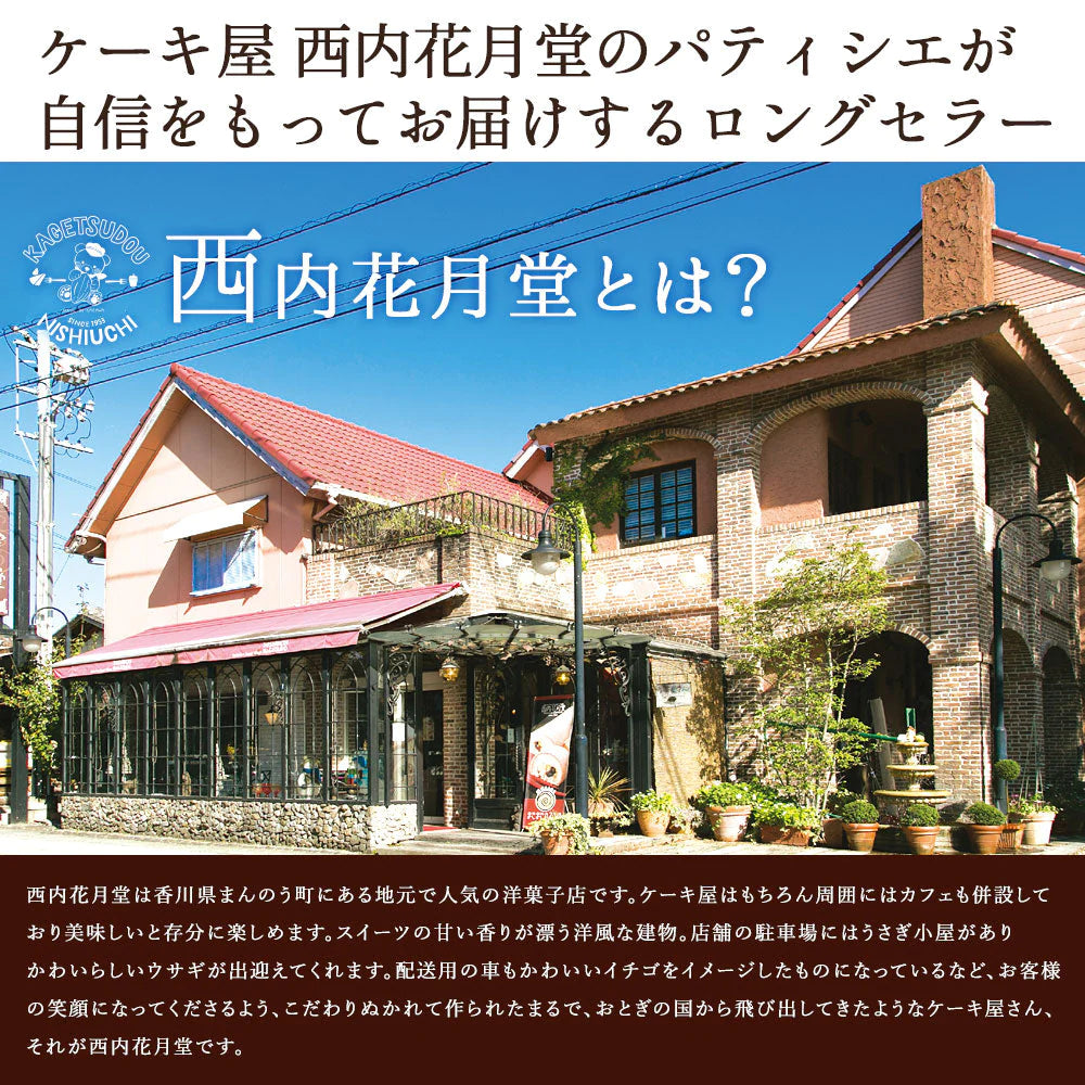 ケーキ 送料無料 よろこびのチーズケーキ & ちょこチョコ 各11個 合計22個セット お菓子 ケーキ 洋菓子 チーズケーキ チョコケーキ お取り寄せ スイーツ 詰め合わせ