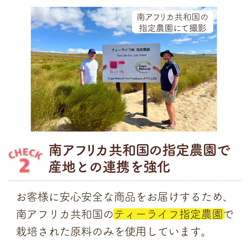 ★水出しOK★ルイボスティー　12素材のよくばりブレンド 100個入 （ 大容量  ブレンドティー ノンカフェイン はと麦 玄米 黒豆 とうもろこし ホット アイスティー ティーバッグ ティーパック )