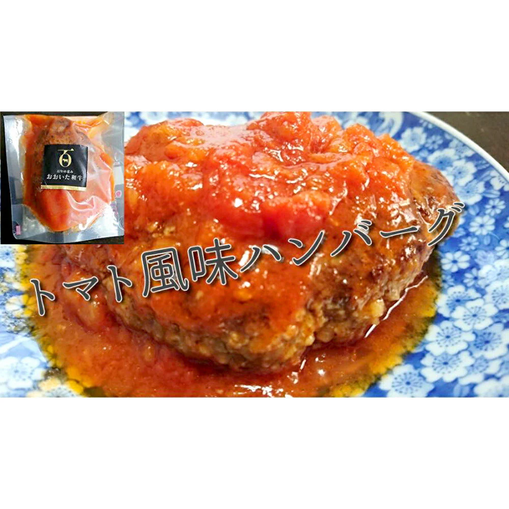 ハンバーグ4種【送料込み】【お届け不可地域：北海道・沖縄・離島】