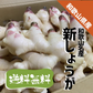 和歌山県産 新しょうが ２kg 秀品 Lサイズ 和歌山 特産 甘酢 生姜 漬物 しょうが 新生姜