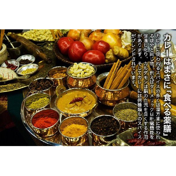 カレー粉 100g カレーパウダー 神戸アールティー スパイス お試し