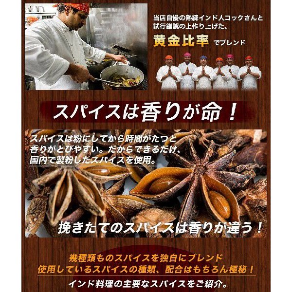 カレー粉 100g カレーパウダー 神戸アールティー スパイス お試し