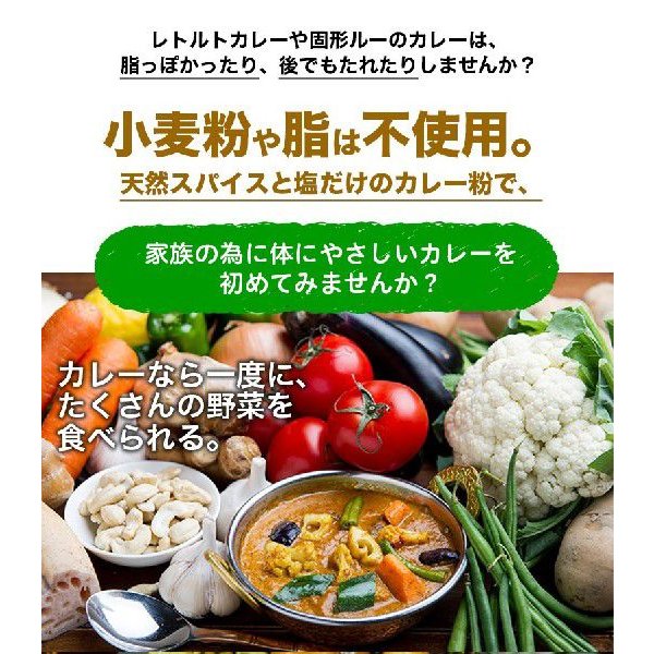 カレー粉 100g カレーパウダー 神戸アールティー スパイス お試し