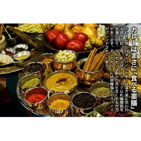 神戸 アールティー オリジナル カレー粉 カレーパウダー 1kg 業務用