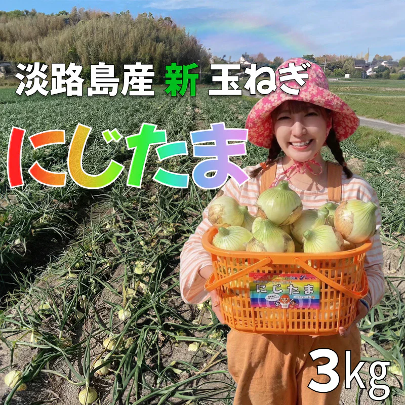 【予約殺到】【まるでフルーツ？！】みずみずしくとにかく甘い！淡路島産ブランド新玉ねぎ 『にじたま』早生 一級品 2.5kg（ご家庭用・8個前後） 使いやすいL・2L混在！