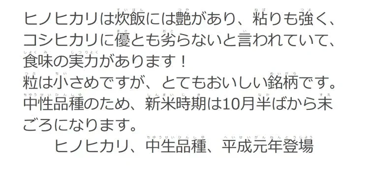 令和7年産 無洗米 10kg 送料無料 コメ 九州産 福岡ヒノヒカリ 5kg×2個セット ひのひかり 飲食店御用達