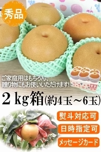 福島県産 梨 なし 2kg箱 ★秀品★品種おまかせ