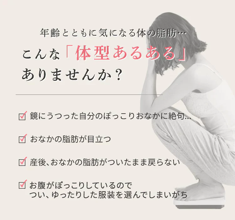 体脂肪が気になる方のプーアール茶　ヘルシーボ　30個入（ 4ｇティーバッグ ×30個入 約60～90杯分 機能性表示食品 健康茶 お茶 ローズヒップエキス ）