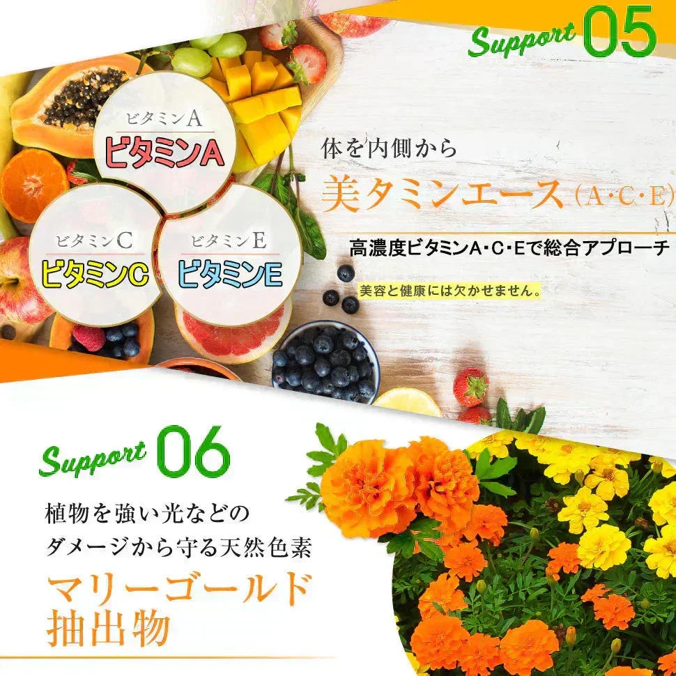 【お得4袋セット・ひがサプリ】新時代 太陽対策 飲む お出かけ対策 サプリメント  バリア サプリ 飲む日焼け止め サンスティック 日焼止め UVケア UVカット 紫外線サプリ クリーム ニュートロックスサン UV 対策 ケア カット 紫外線カット 紫外線 日差しに負けない ビタミン 日焼どめ お肌 守る シスチン ビタミンC レッドオレンジ シトラス ローズマリー マリーゴールド 日本製 国産