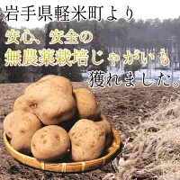 岩手県産 じゃがいも 5kg 無農薬栽培 男爵
