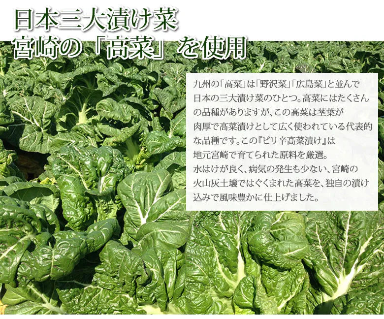 高菜漬 ごま高菜 漬物 600g（150g×4袋） 送料無料 お試し お取り寄せ 宮崎県産 胡麻たかな ポイント消化 つけもの