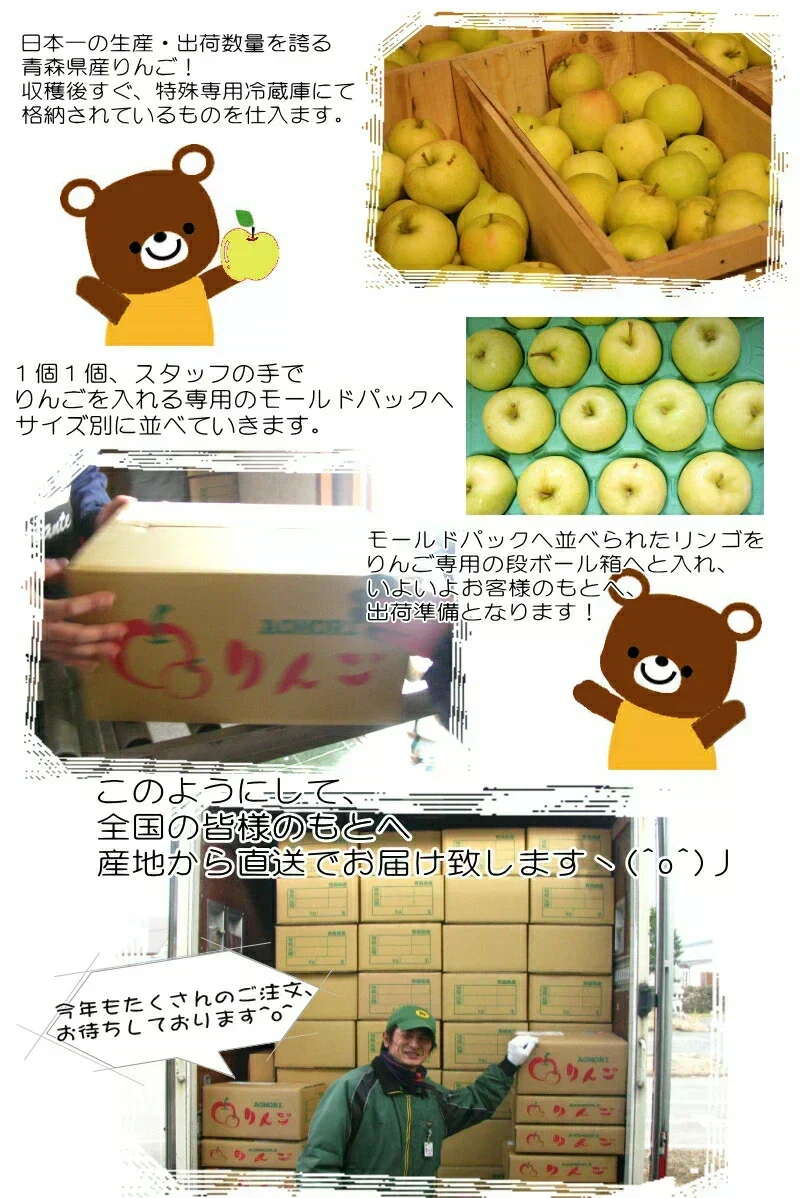 10月9日～発送！青森県産 りんご トキ 5kg箱 家庭用/訳あり ★トキ 家訳 5kg箱