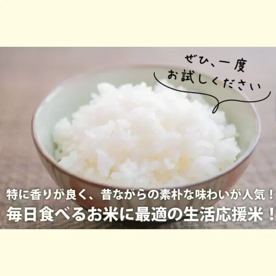 令和7年産入り 国産ブレンド米 30kg （10kgx3袋）